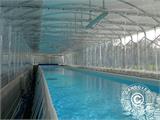 Cubierta de piscina tipo túnel, plegable, 6x8,24x2,7m, Blanco/Transparente