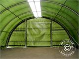 Tunnel Agricole 9,15x12x4,5m, PE avec panneau vitré, vert