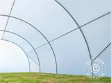 Polytunnel Greenhouse 4x6 m, 24 m², 150 Mic, Translucent