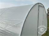 Polytunnel drivhus 4x10m, 40m², 150Mic, Transparent