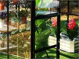 Växthus Glas/Polykarbonat ZEN 6,25m², 2,5x2,5x2,28m, Svart