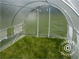 Polytunnel Greenhouse 3x3x2 m, 9 m², Transparent