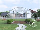 Greenhouse polycarbonate, Strong NOVA 32 m², 4x8 m, Silver