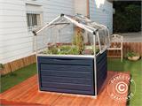 Mini Invernadero PLANT INN, Palram/Canopia, 1,18x1,18x1,48m, Transparente