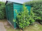 Garden shed 2.77x2.55x1.98 m ProShed®, Green