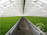 Commercial greenhouse tunnel extension, 8.5x1.5x3.3 m, Transparent