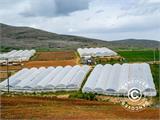 Commercial greenhouse tunnel, 12x16x3.95 m, Transparent