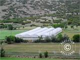 Commercial greenhouse tunnel, 8x16x3.95 m, Transparent