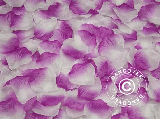 Petali di rosa, Viola / Bianco, 1000 pz. 