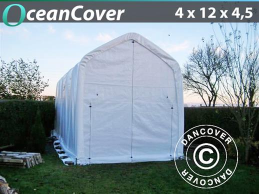 Telthall Dancover 4x12x4,5 m