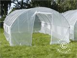 Polytunnel Greenhouse 3x8x2 m, Transparent